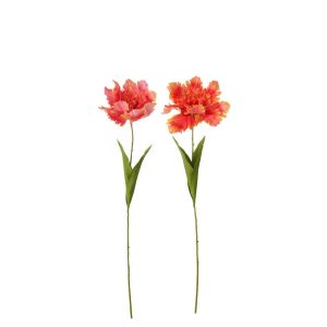 TULIP PARROT TEXTILE ORANGE ASSORTMENT OF 2
