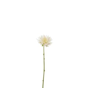 CHRYSANT MINI PLASTIC WHITE SMALL