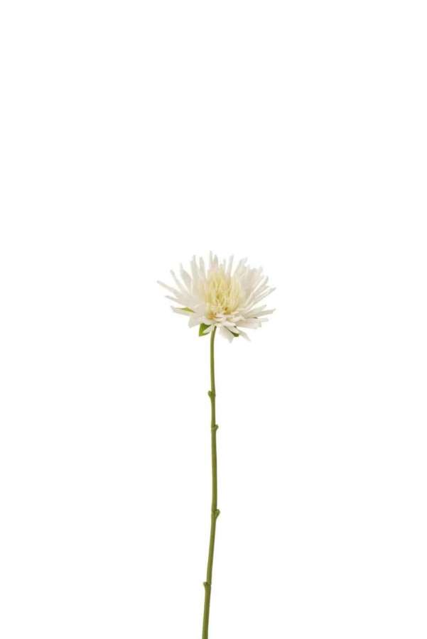 CHRYSANT MINI PLASTIC WHITE SMALL