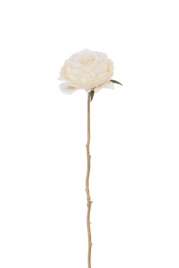 ROSE SINGLE SPRAY PLASTIC CREAM/GOLD