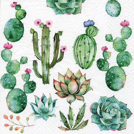 Serviett lunch 33x33cm