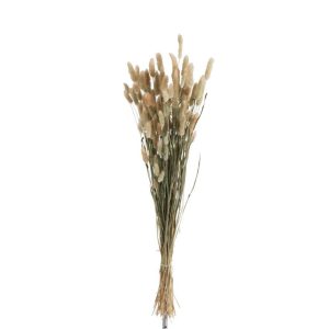 BUNDLE PLUME BUNNYTAIL DRIED GRASS NATURAL