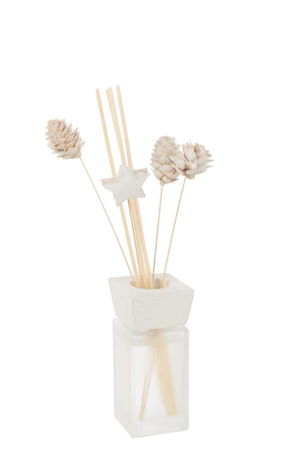 REED DIFFUSER PINE EUCALYPTUS DRY FLOWER WHITE