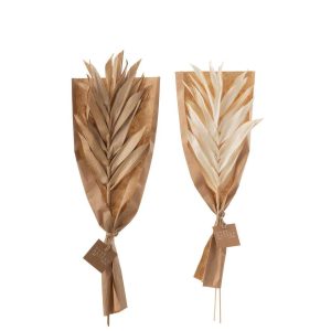 DRIED LEAVES 2 PIECES NATURAL SMALL ASSORTMENT OF 2