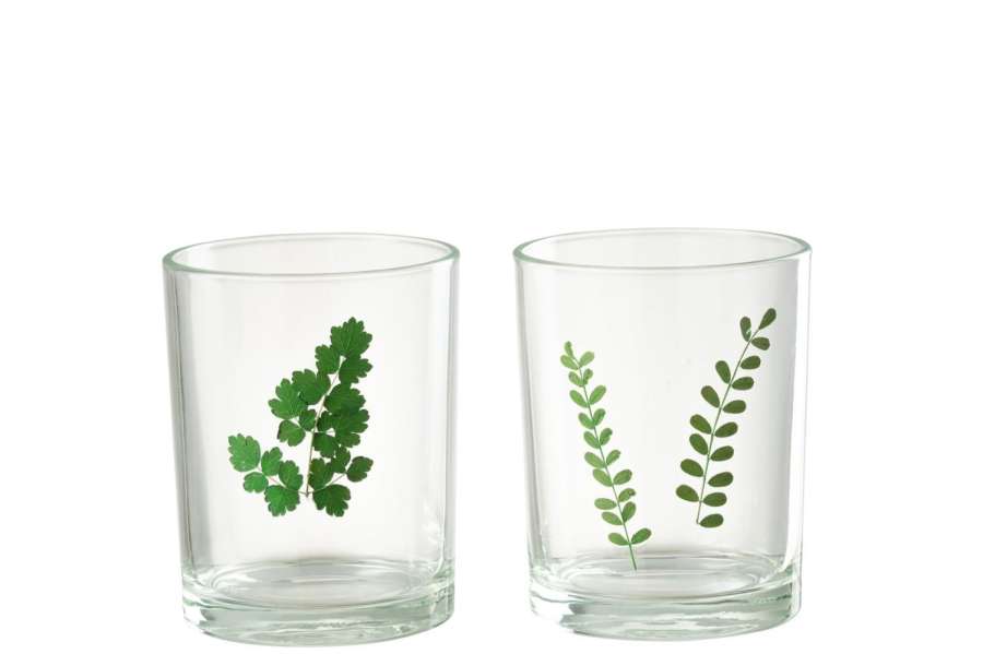 HURRICANE LEAF GLASS GREEN/TRANSPARANT ASSORTIMENT OF 2
