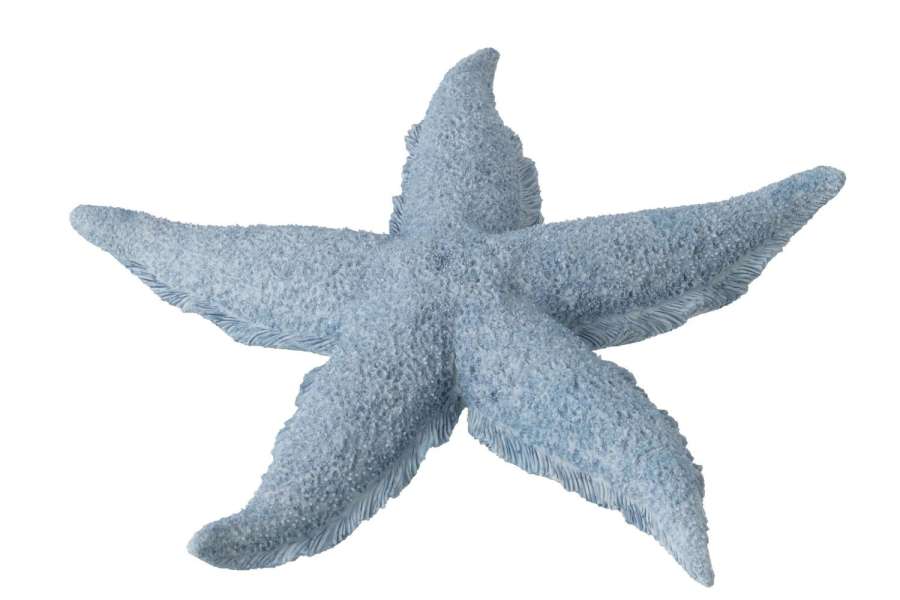 STARFISH POLYRESIN LIGHT BLUE LARGE