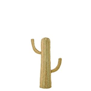 CACTUS GRASS NATURAL MEDIUM