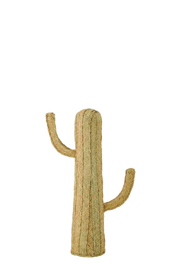 CACTUS GRASS NATURAL MEDIUM