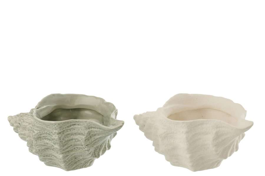 SHELL SHELL STONEWARE WHITE/OLIVE ASSORTMENT OF 2