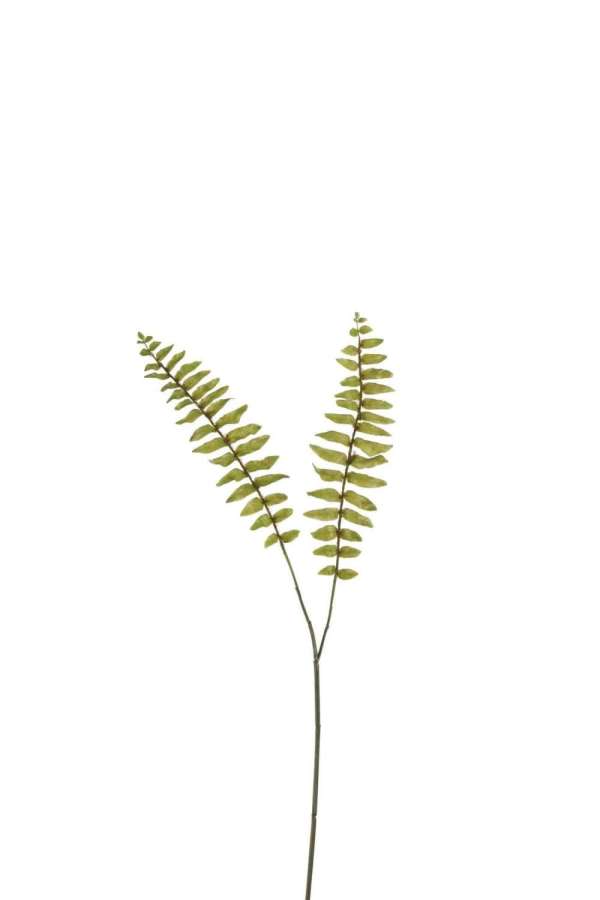 BRANCH FERN BOSTON PLASTIC GREEN SMALL