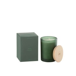 SCENTED CANDLE ACCORDS ESSENTIELS BOIS GIVRÉ-38H