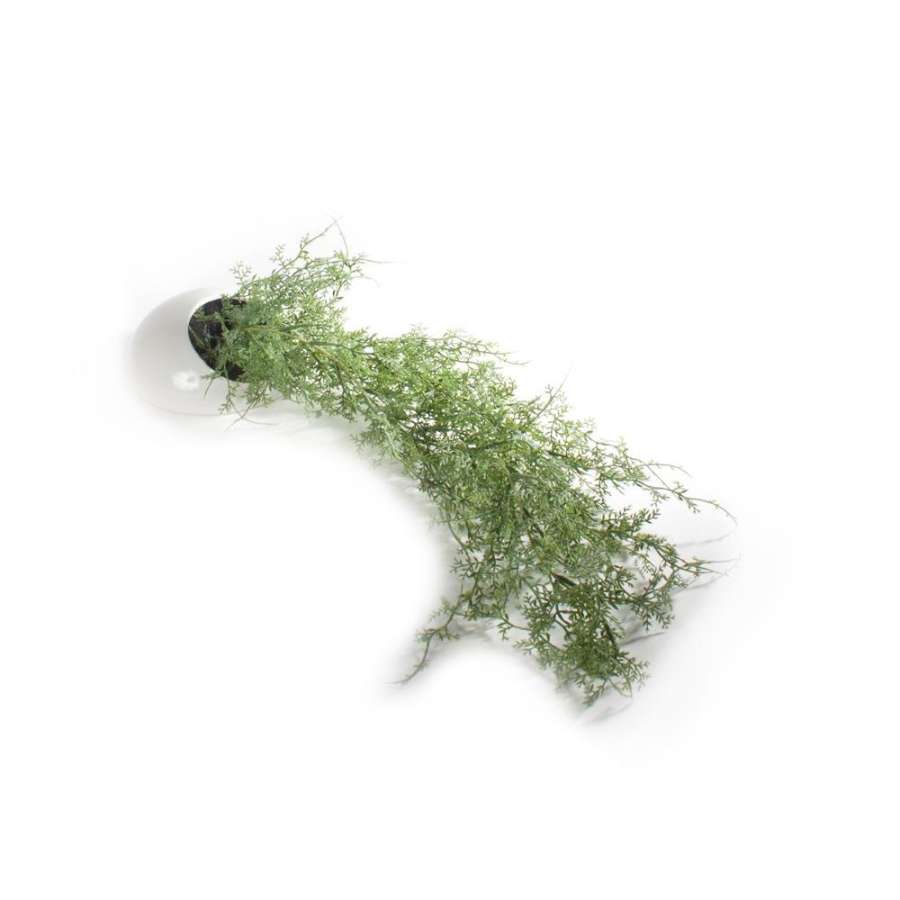 Plante Bregne M/Veggpotte 17X58Cm