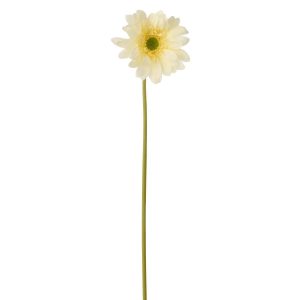 GERBERA REAL TOUCH FABRIC ECRU