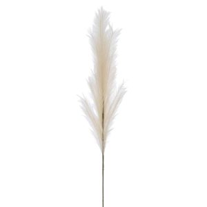 BRANCH PLUMEAU PLASTIC BEIGE LARGE