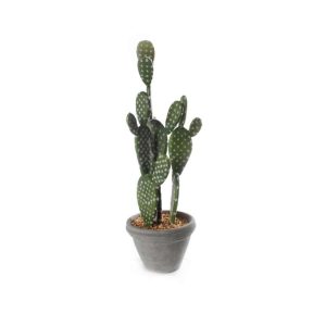 Kaktus M/Potte Sement 23X50Cm