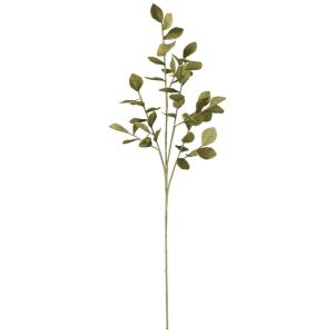 BRANCH LEAVES EVA GREEN