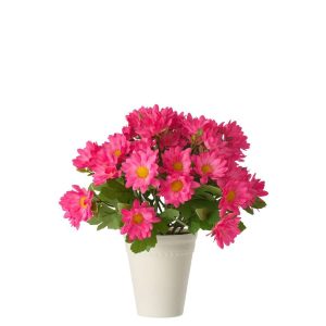 DAISY PVC FUCHSIA