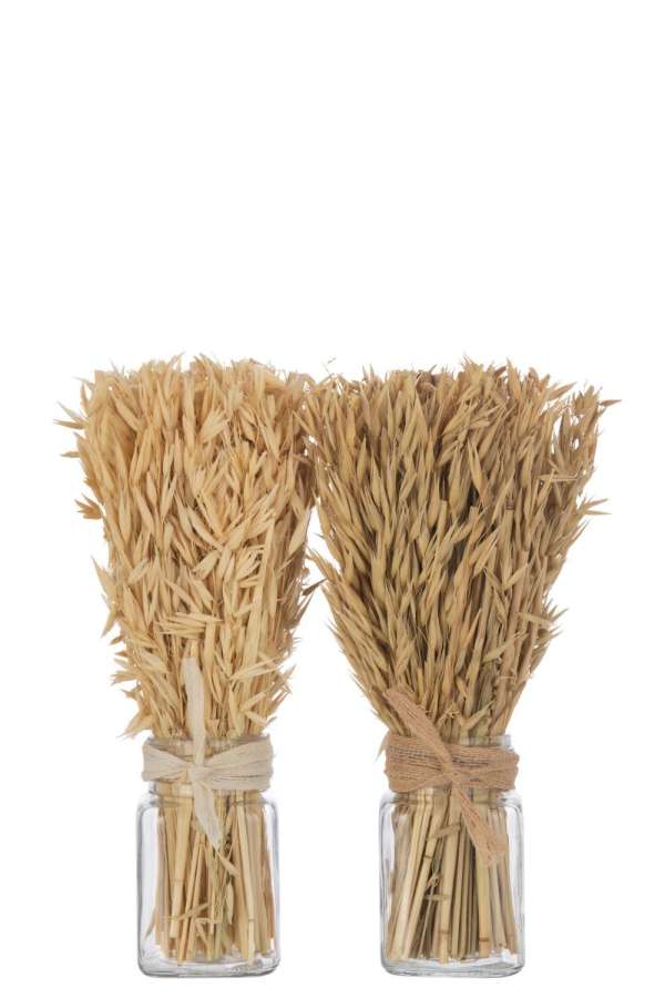 BUNCH DRIED AVANA GRASS IN VASE NATURAL ASSORTMENT OF 2