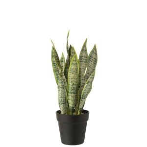 DRACAENA TRIFASCIATA IN POT ARTIFICIAL GREEN MEDIUM