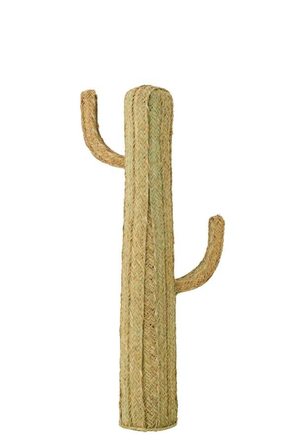 CACTUS GRASS NATURAL LARGE