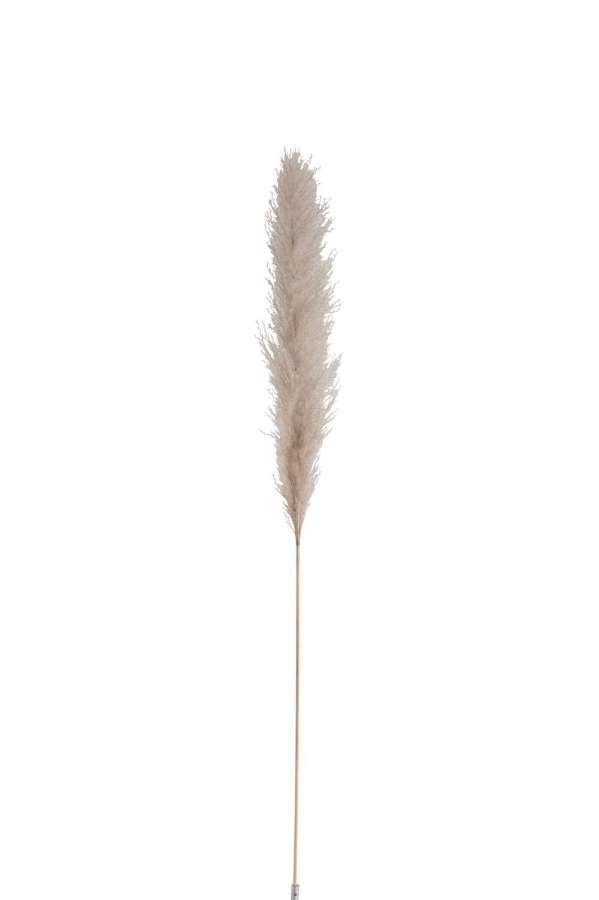 BRANCH PLUME PAMPAS GRASS DRIED NATURAL MEDIUM