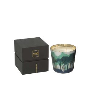 SCENTED CANDLE NOA FOREST SOYA GREEN/GOLD COLORED SMALL-50H