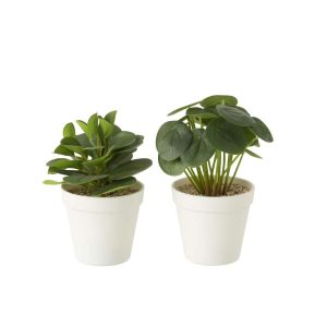 PLANTS IN POT ARTIFICIAL GREEN ASSORTMENT OF 2