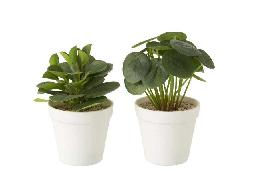 PLANTS IN POT ARTIFICIAL GREEN ASSORTMENT OF 2