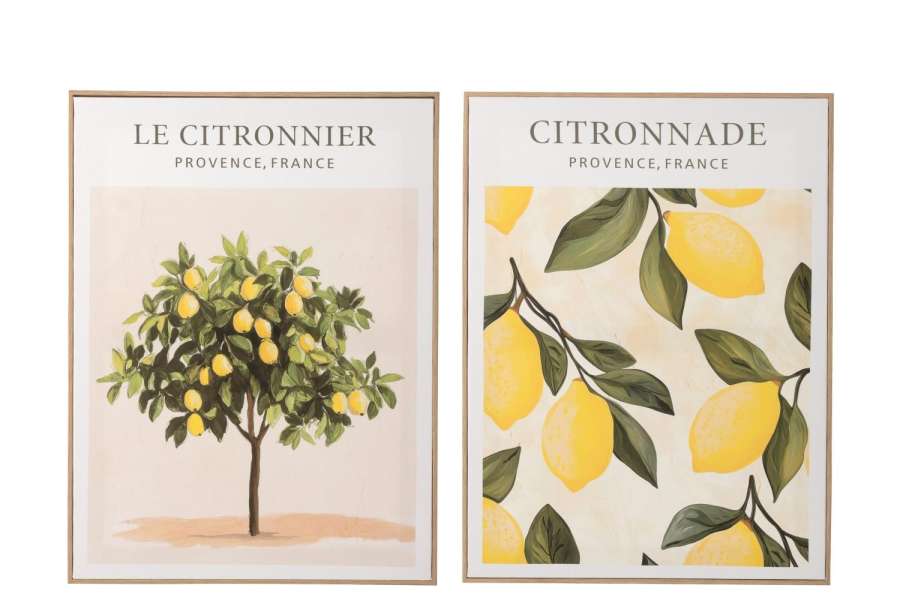 WALL DECORATION CITRONNIER CANVAS MULTICOLORED ASSORTMENT OF 2