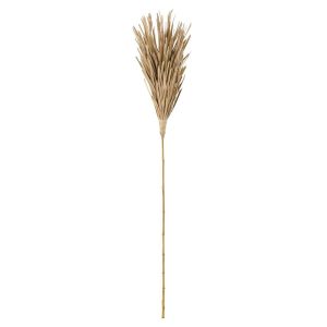 BRANCH DRIED LEAVES LEAF NATURAL