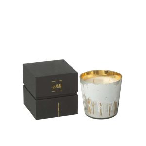SCENTED CANDLE NOA FOREST SOYA WHITE/GOLD COLORED SMALL-50H