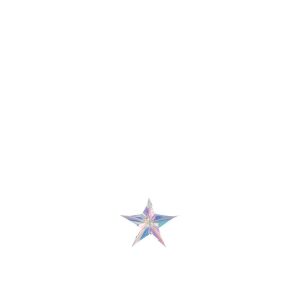 HANGER STAR PET MULTICOLORED SMALL