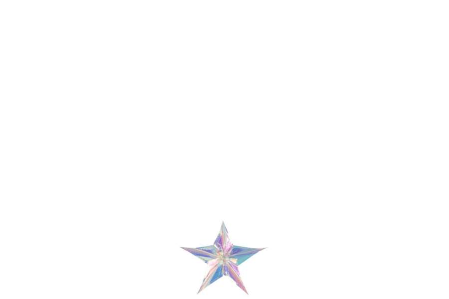 HANGER STAR PET MULTICOLORED SMALL