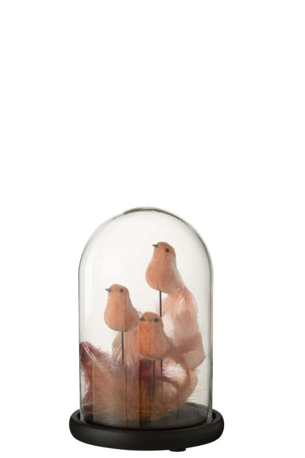 BELL JAR 3 BIRDS+FEATHERS GLASS PINK/BORDEAUX