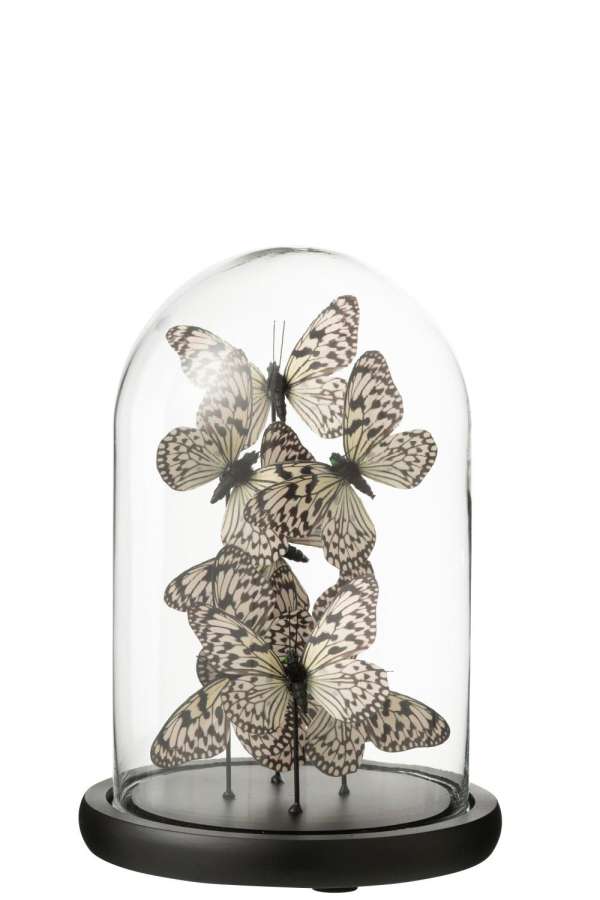 DECORATIVE BELL JAR BUTTERFLY GLASS BLACK/WHITE MEDIUM