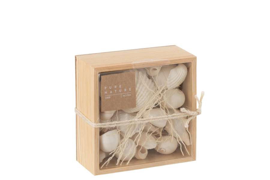 BOX SQUARE SHELLS WHITE