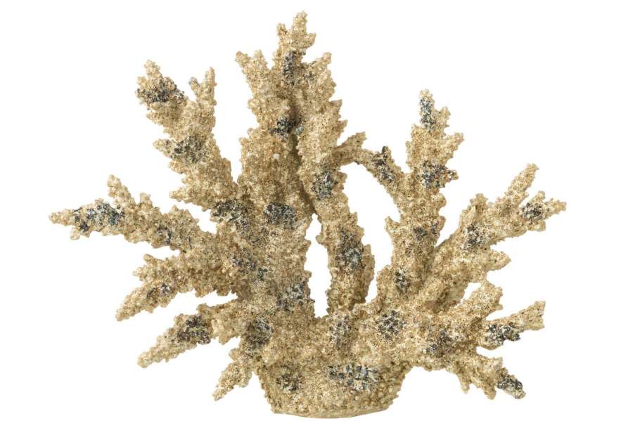 CORAL POLYRESIN BROWN/GOLD EXTRA L