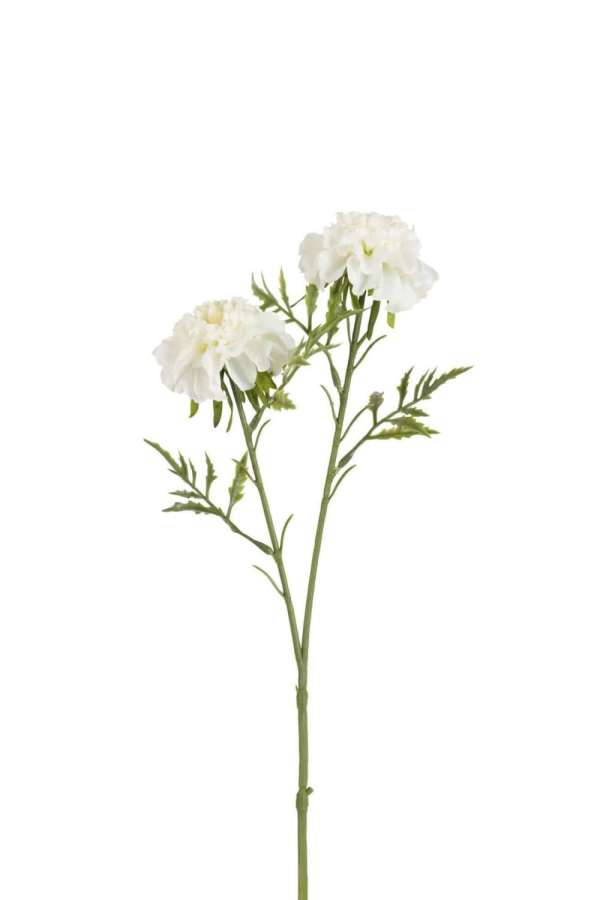 SMALL SCABIOUS 2PARTS PLASTIC WHITE
