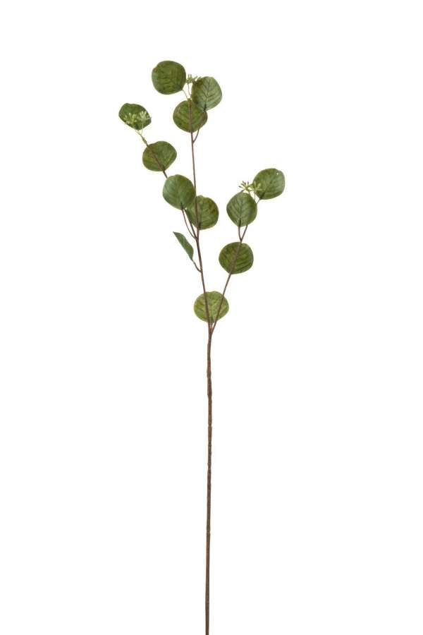 BRANCH HONESTY PLASTIC GREEN