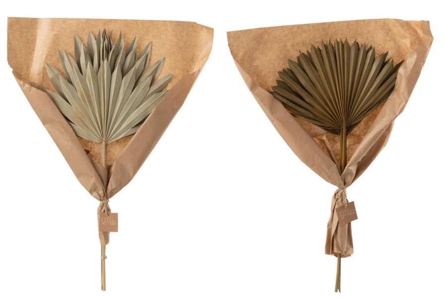 DRIED PALM TREE LEAVES 2 PIECES GREEN ASSORTMENT OF 2