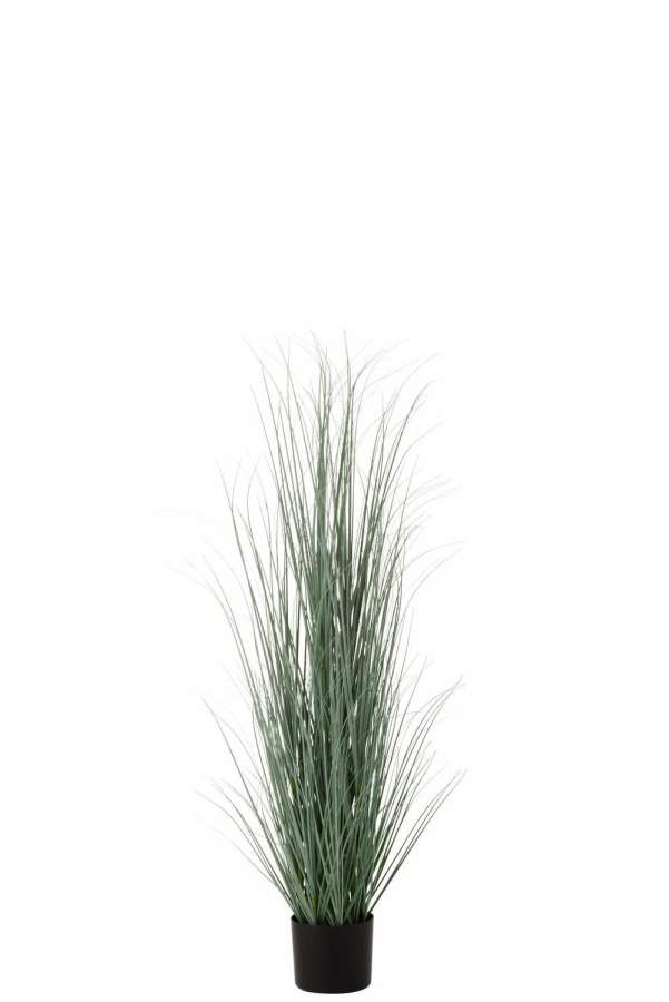 GRASSES IN POT PLASTIC BLUE/GREEN LARGE