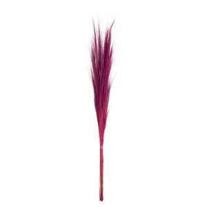 BUNDLE OF 15 COLORED GRASS FUSCHIA
