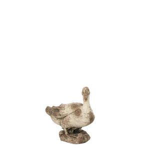 DUCK OUTDOOR MAGNESIUM ECRU/BEIGE