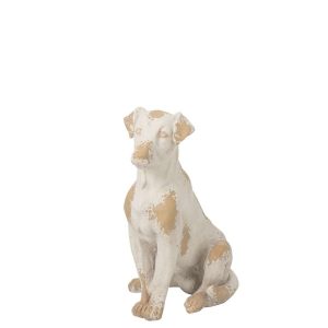 DOG OUTDOOR MAGNESIUM ECRU/BEIGE