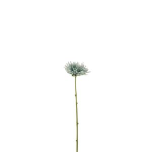 CHRYSANT MINI PLASTIC WHITE LIGHT BLUE