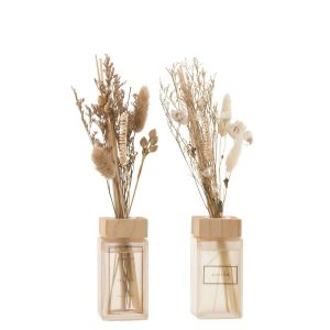 SCENTED OIL + FLOWERS BRANCHES NATURAL ASSORTMENT OF 2
