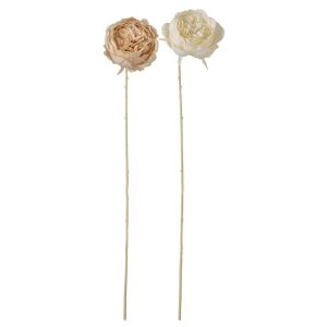 CABBAGE ROSE POLYESTER BEIGE/LIGHT YELLOW ASSORTMENT OF 2