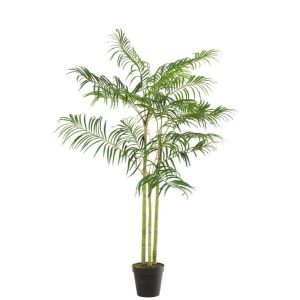 BAMBOO PALM IN POT PLASTIC GREEN/BLACK SMALL