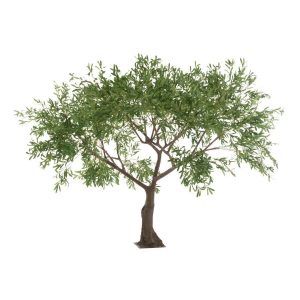 OLIVE TREE PLASTIC GREEN/BROWN