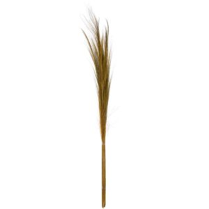 BUNDLE OF 15 COLORED GRASS YELLOW